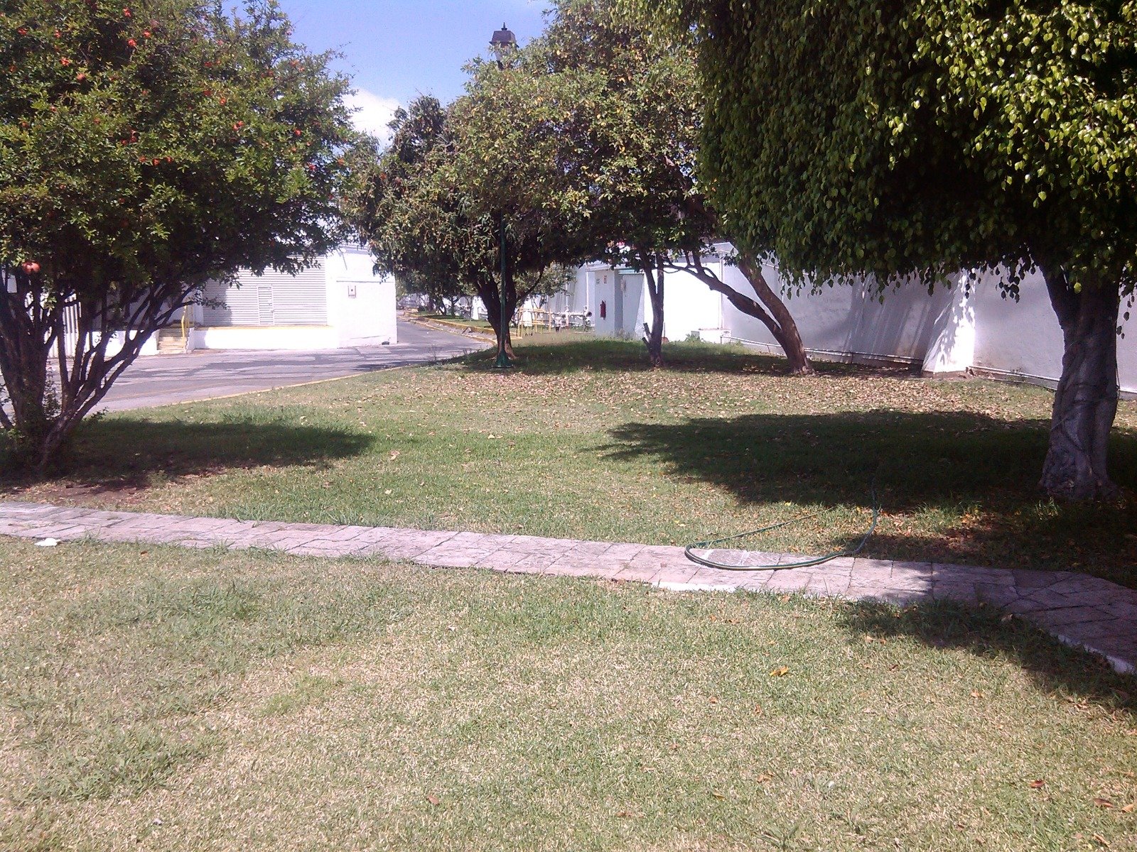5feca62f